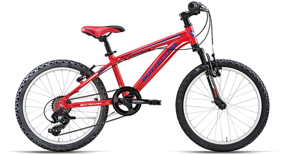 Bottecchia 032 Junior 20 “