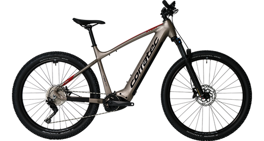 Corratec E-Power X-VERT Pro gent (24)