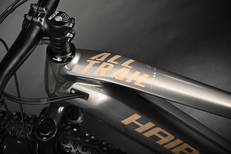 Haibike alltrail 5 29 "Titan/karamel