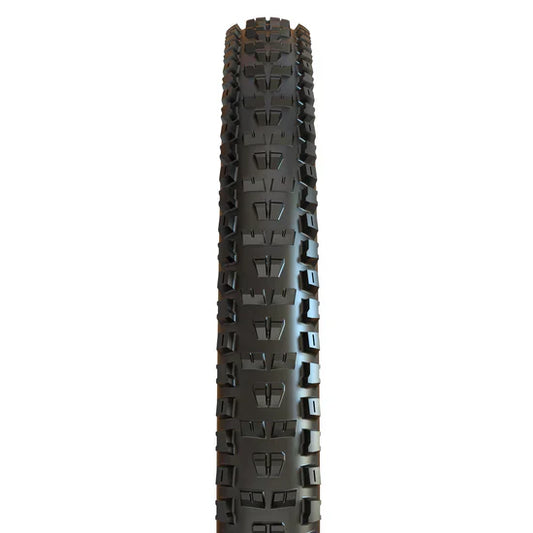 Maxxis lernendes Rennen exo Tubeless Ready 29x2.20