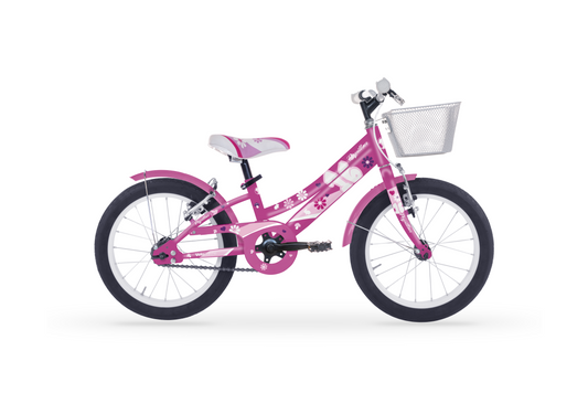 Papillon 16 "Velomarche