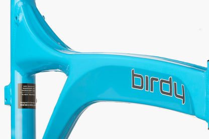 Riese y Muller Birdy Touring