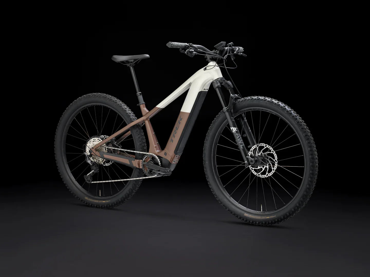 Trek Powerfly+ 8. Januar 5. Januar